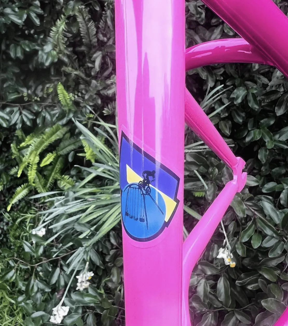 United Escamilla Caveman V2 Frame 20.8" TT Pink