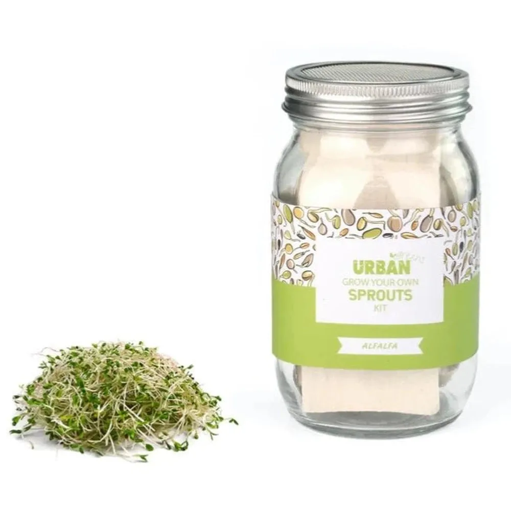 Urban Greens Alfalfa Sprouts Jar Kit