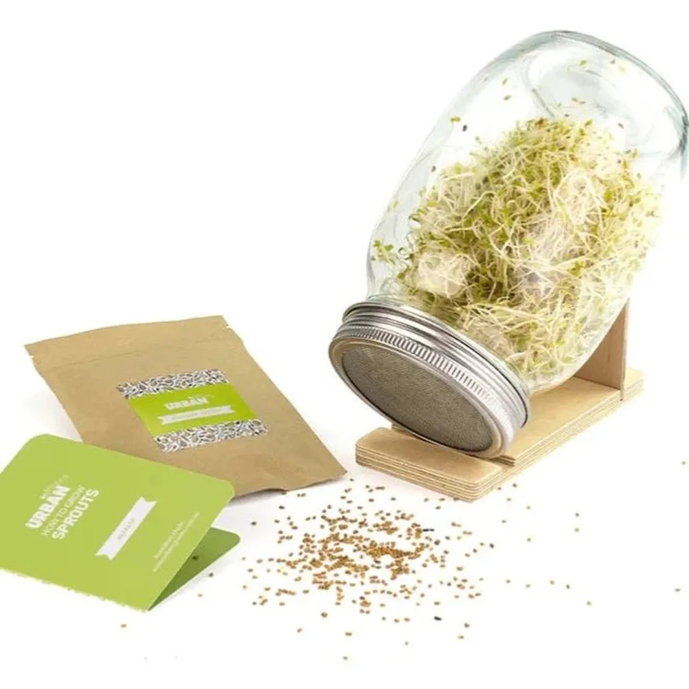 Urban Greens Alfalfa Sprouts Jar Kit