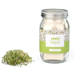 Urban Greens Alfalfa Sprouts Jar Kit